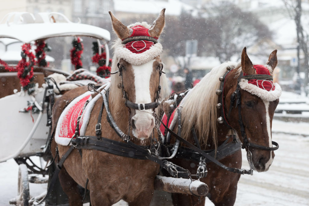 Horses carrying a carriage in the snow in December