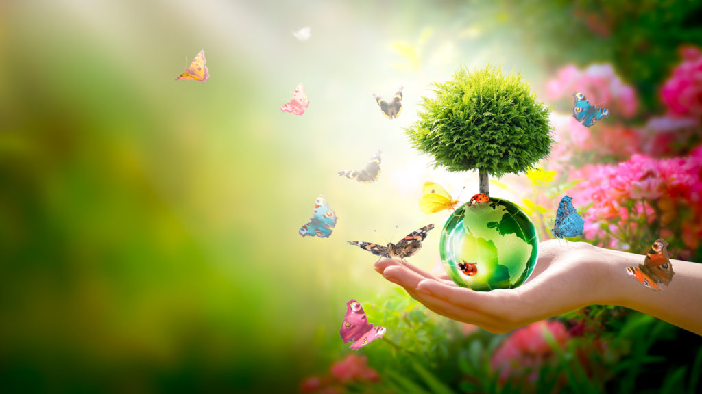 Growing tree on globe in hand, ladybugs and flock of many flying colorful butterflies to represent sustainable living.